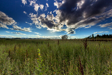 Scenic view of Tualatin River Natinal Wildlife Refuge