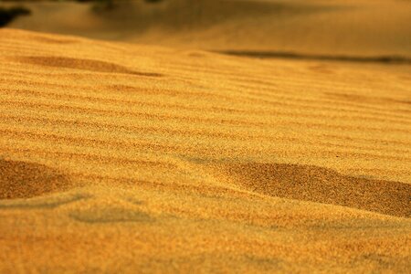 Outdoor dune natural photo