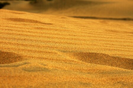 Outdoor dune natural