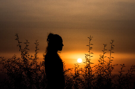 Silhouette of Woman among Plants at Sunset photo
