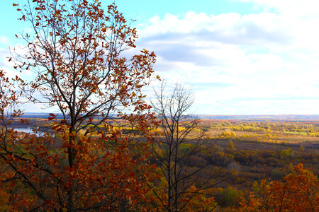 autumn scene photo