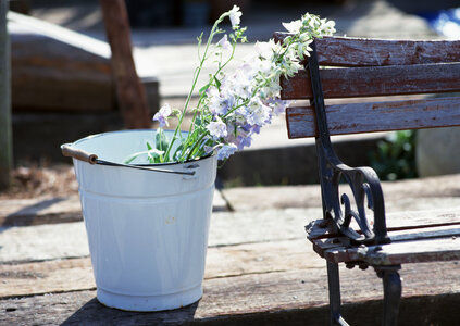 baskets of flowers. photo