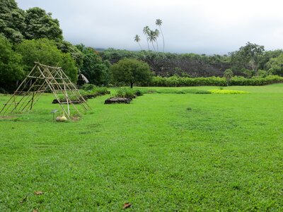 Kahanu Garden Hana, Maui