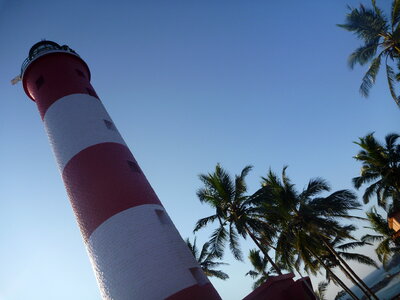 Lighthouse Palm Trees photo