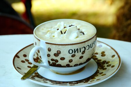 Beautiful Photo cappuccino coffee cup photo