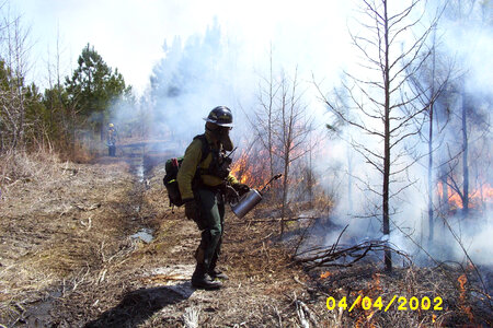 Fred Adams with a Drip torch at a prescribed burn at Chesapeake Marshlands National Wildlife Refuge Complex