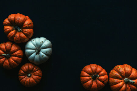Pumpkins photo