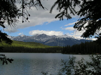 Banff Hiking Sulphur Mountain Trail photo