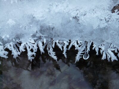 Iced frozen winter photo