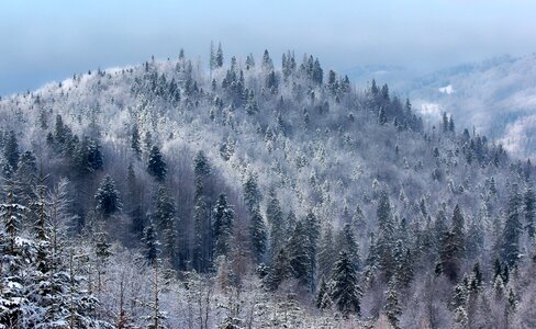 Winter ice nature