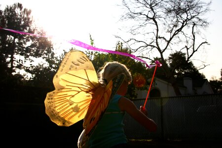 Butterfly silhouette wings