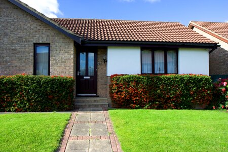 Windows roof lawn