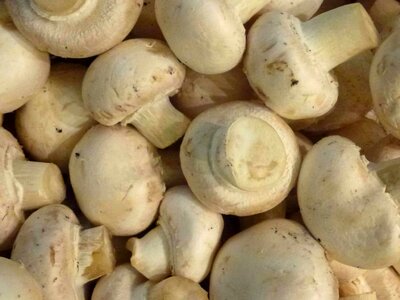 Calorie delicious diet