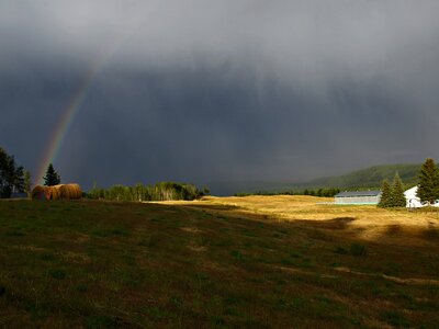 Landscape farm summer