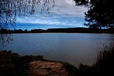 Clouds south bohemia tree branches photo