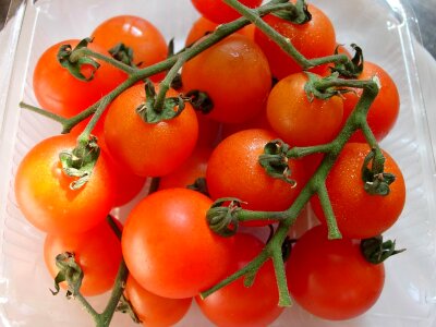 Fresh healthy vegetarian