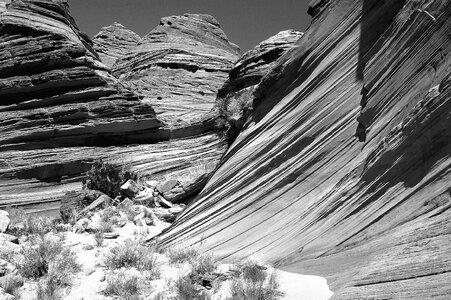 Black And White canyon grass photo
