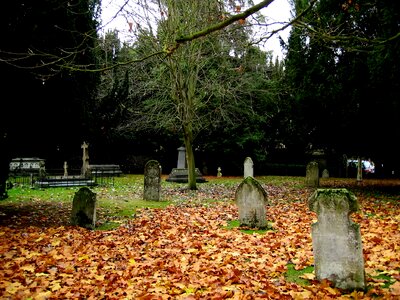 Graves headstones leaves photo