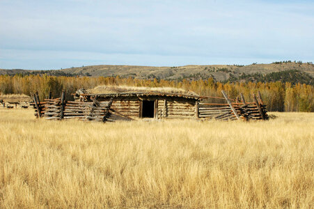 Rustic homestead structure