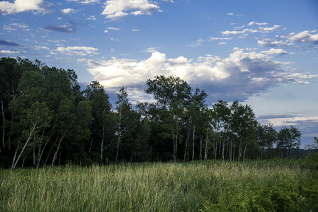 Treeline with grass and fields on the Sugar River State Trail photo