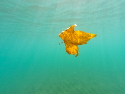 Water yellow sea