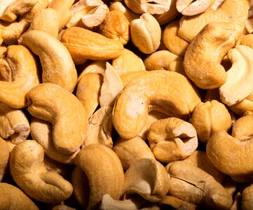 Food cashews nuts photo