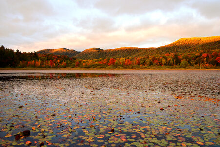 Across the pond view with hills in the landscape