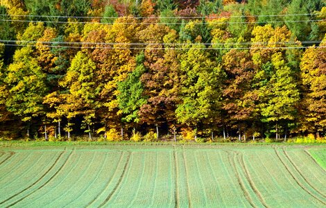 Crop electricity field