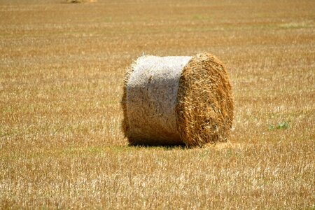 Agriculture bale circle photo