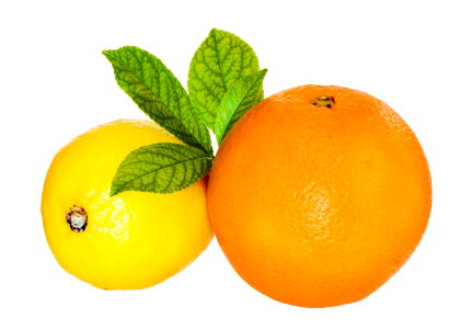 Orange and lemon photo
