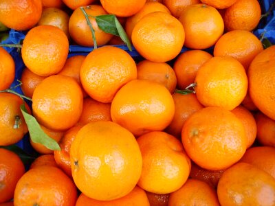 Vitamins citrus fruit fruits photo