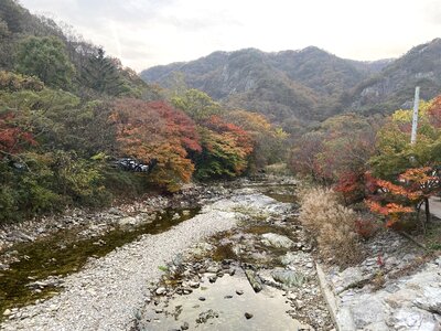 Fall Foliage Naejangsan National Park