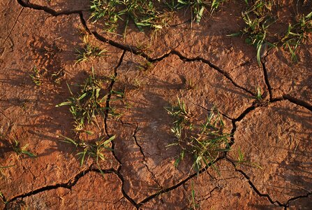 Cracked drought grass