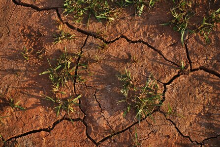 Cracked drought grass photo