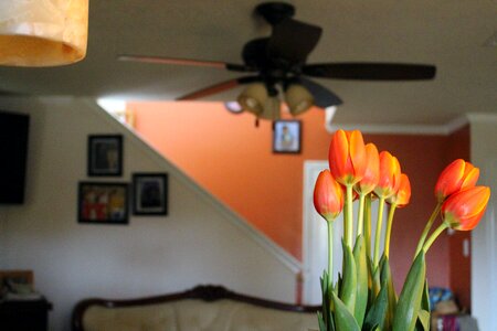 Decorative orange flower vase photo