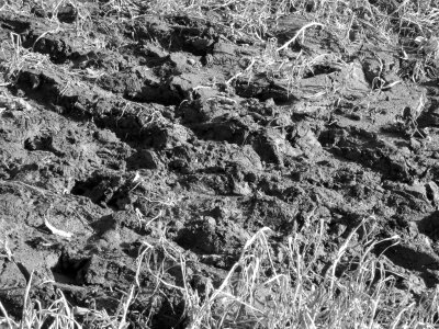 Soil dirt earth photo