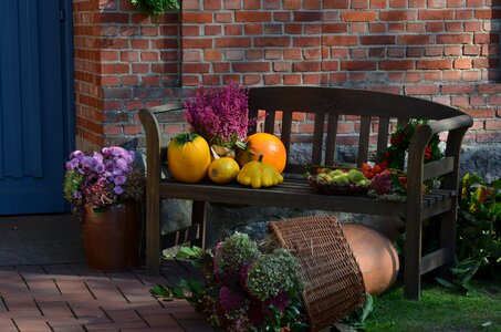 Gerbst harvest pumpkin