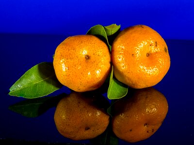 Mandarin fruit citrus fruit