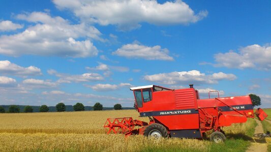 Agriculture beautiful photo blue sky photo