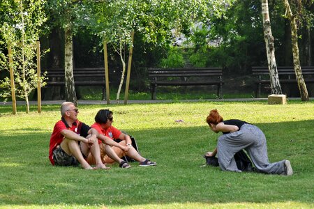 Grass outdoors sport photo