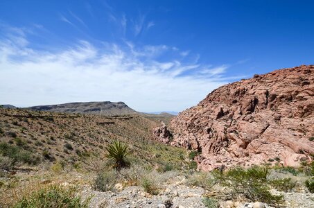 Ascent cactus canyon photo