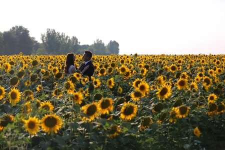Agriculture bride field
