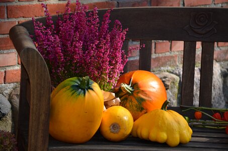 Autumn decoration thanksgiving autumn