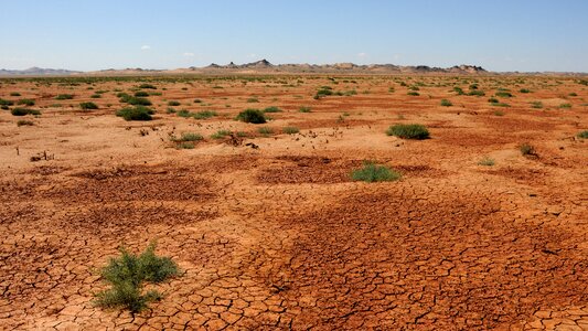 Sand desert gobi photo