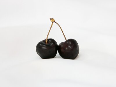 Power cherry fruit tree