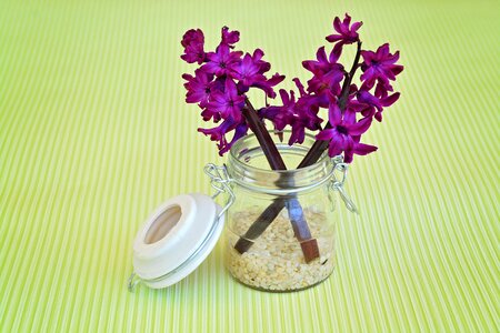 Violet glass decorative glass