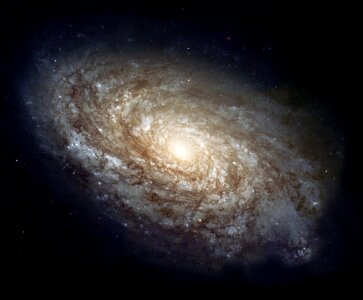 Berenice galaxy starry sky photo