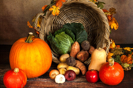 Basket of Autumn Vegetables photo