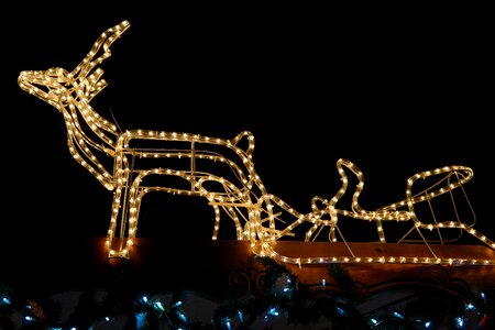 Moose slide winter