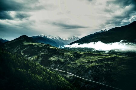 Cloud forest high